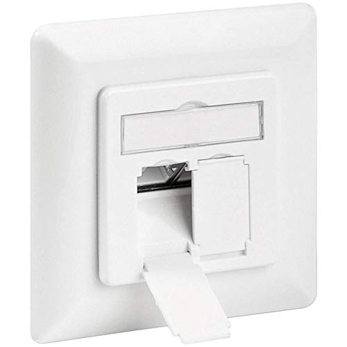 goobay-network-cat-6a-netzwerkdose-up-wei-2xrj45 image 4